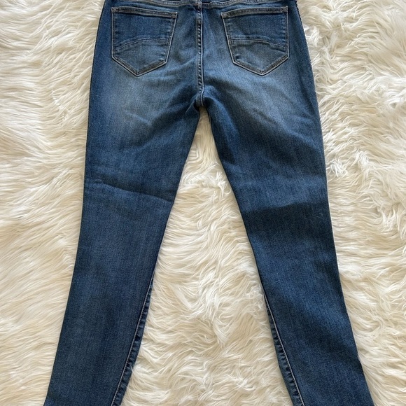 Driftwood Jackie High Rise Skinny Embroidered Jeans - Picture 6 of 7